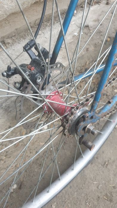 Freewheel sotiladi Start Shosse