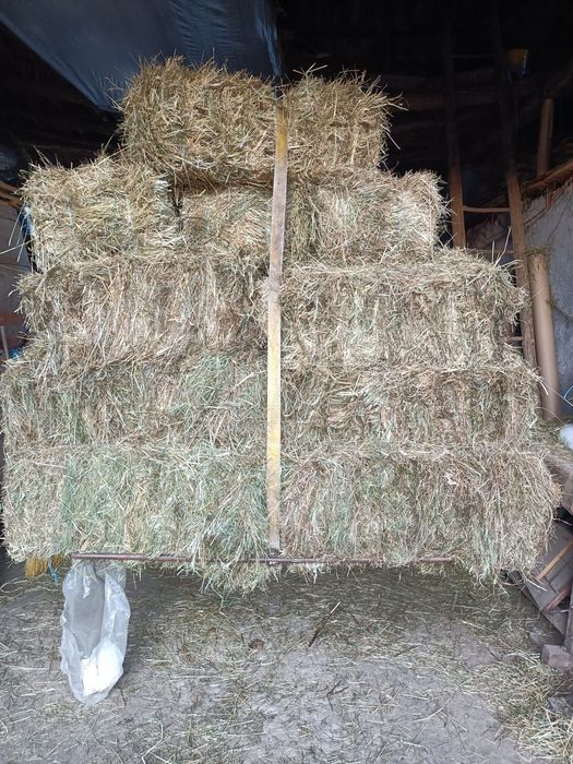 Vand baloti de fan si otava an 2025