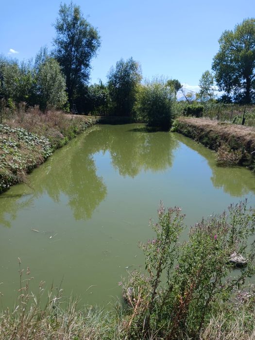 Vand casa la Fotoș