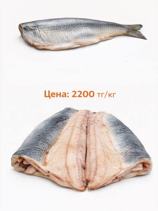 Сельдь филе (тихоокеанская)