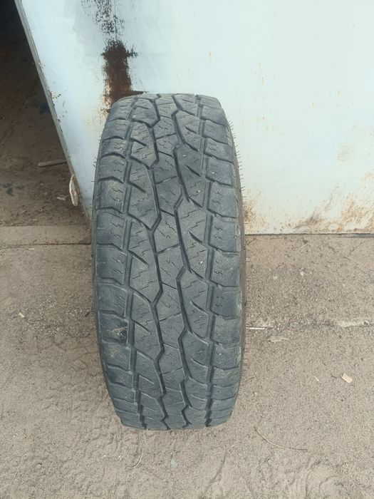 Летняя резина треанжел