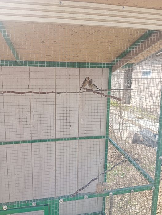 Вальер для птиц ,