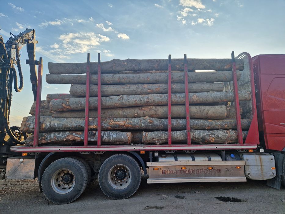 Lemne de foc esență tare.