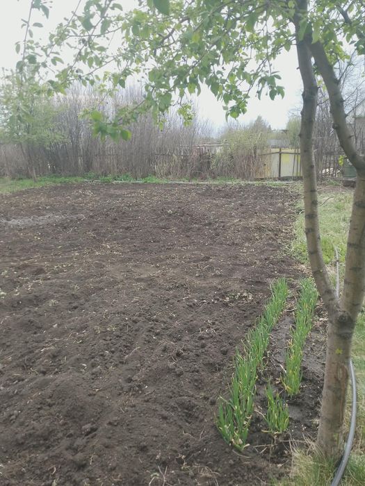 Продам дачу в обществе Ромашка