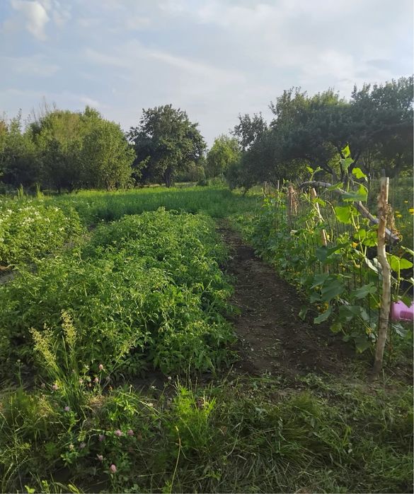 Продается дом в с.Каратальск