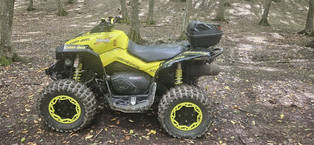 Vind prune bistie sau schimb cu cf 850xc.