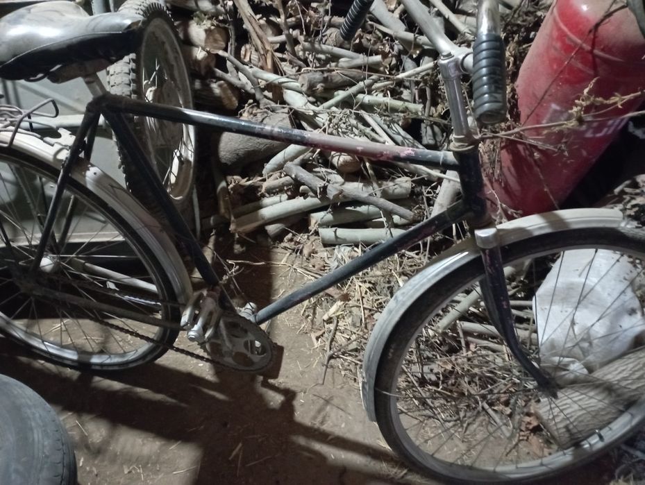 Velasaped rassiyiski