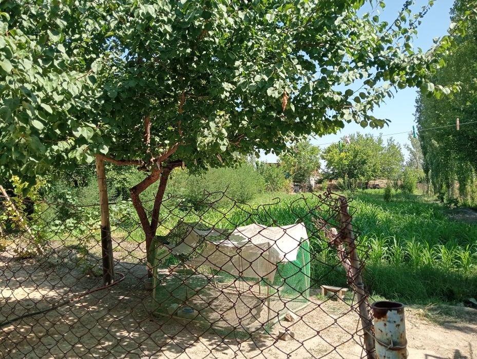 20 sotix uchastka
