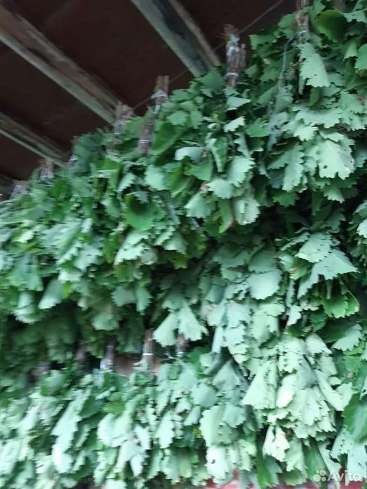 Веники банные липа, дуб, береза 1500