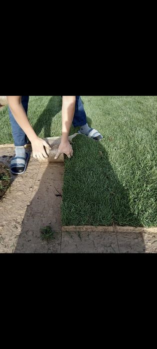 Газон рулонный Афтопалив