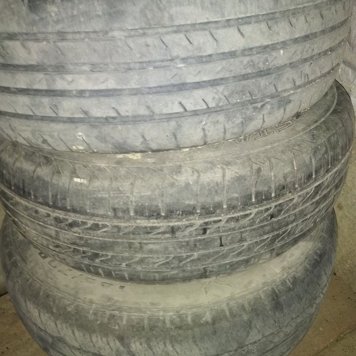 Shina 13 li sotiladi