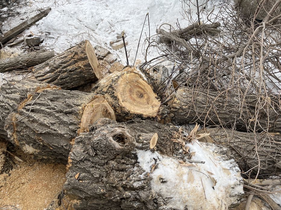 Продам дрова бревно