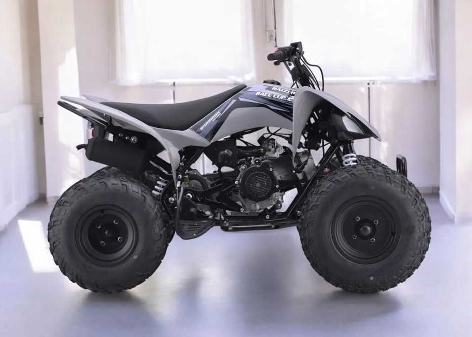 Квадроцикл Sharmax Raizer Race Cup 250