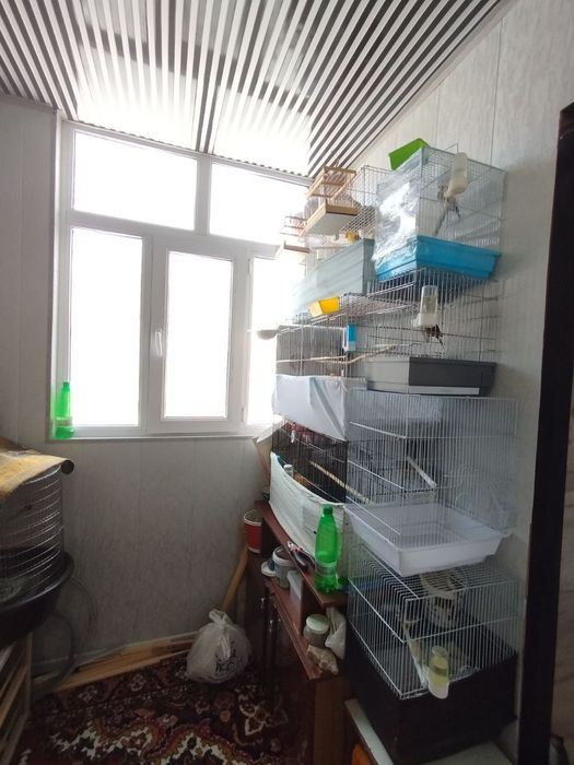 Уй сотилади 2хонали 3хона килинган хамма шароит бор