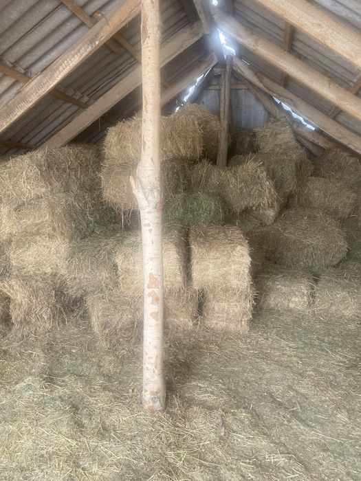 Шөп сатылады бағасы 1500 ден