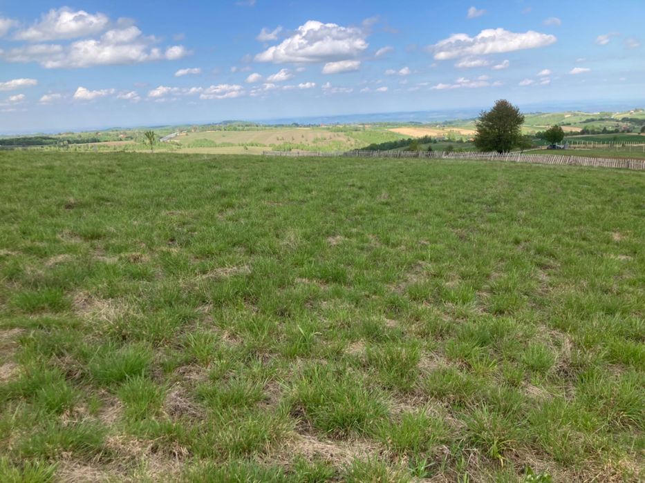 Teren intravilan in Șinteu 3 Ha