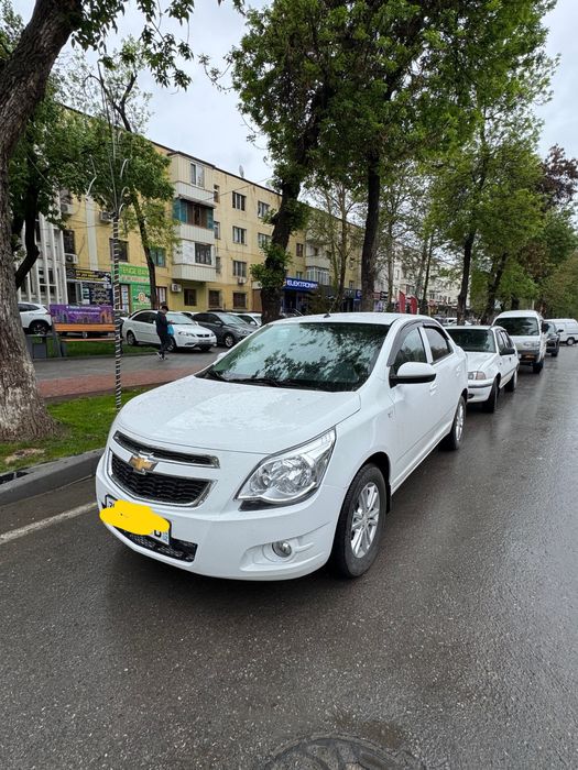 Cobalt 2025 monitorli