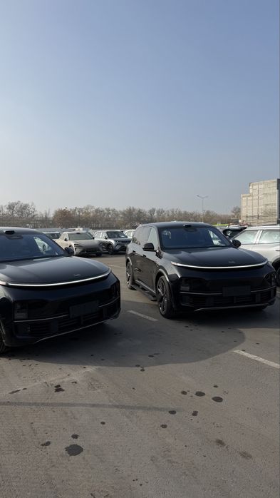 Lixiang Li L9 Ultra Restyling 2026 кора/кофе/кора