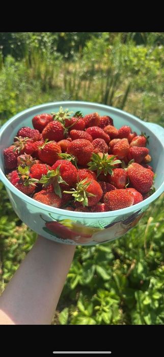 Продам дом , дача.