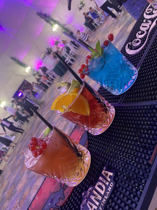 Open Bar/Tort shooturi / Barman