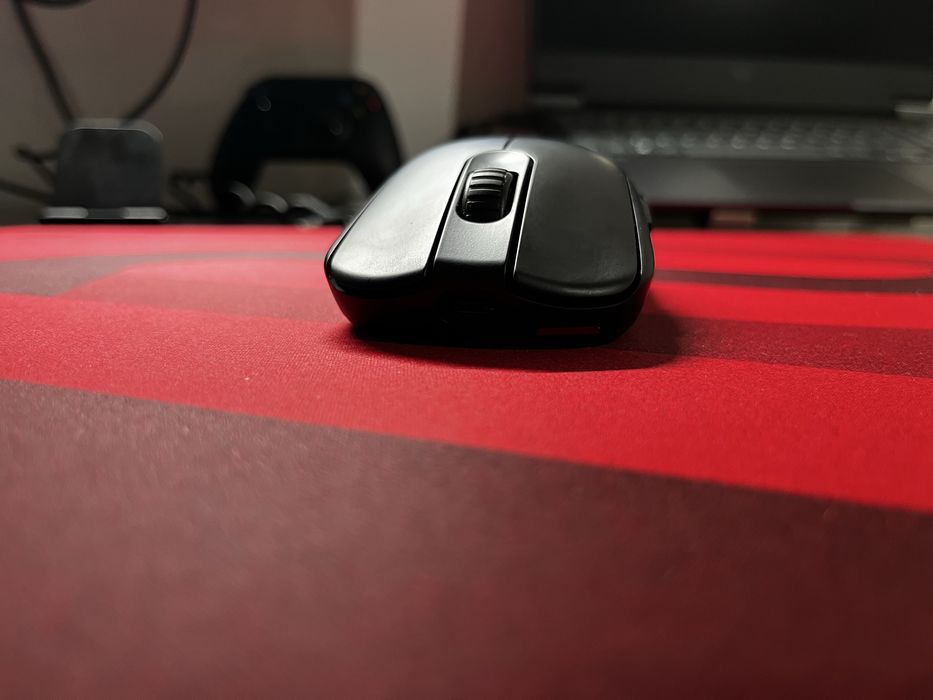 Mouse Zowie FK2-DW