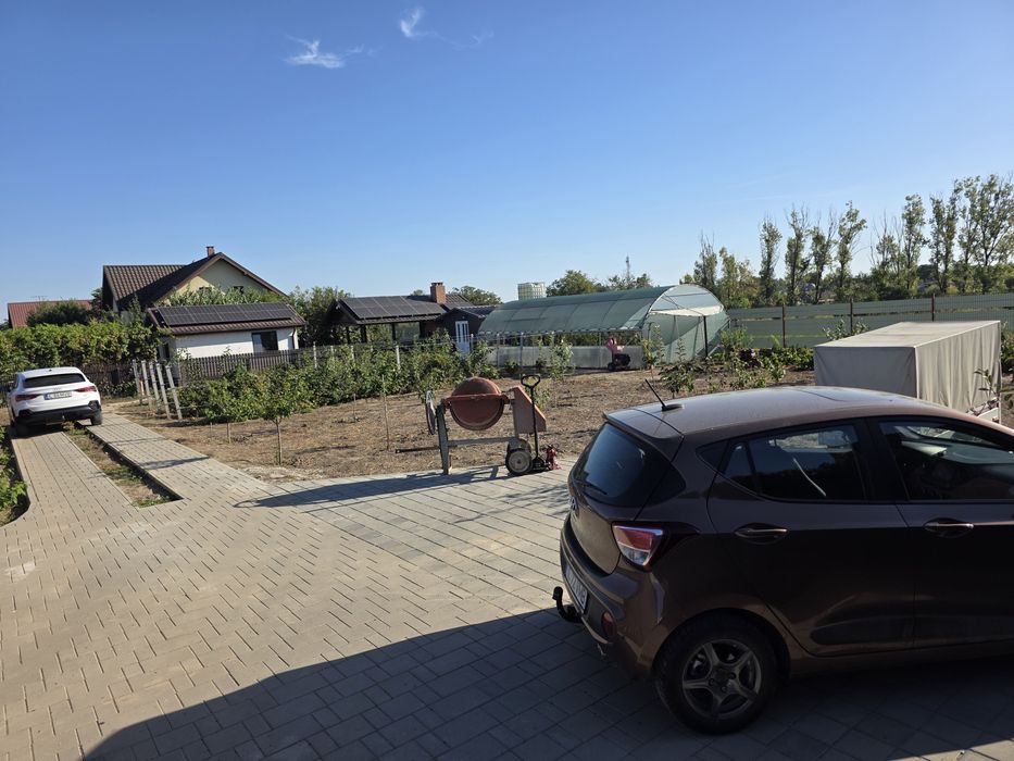 Teren 800 mp în Amara – intravilan, utilități, pomi, vie, zmeură, solar