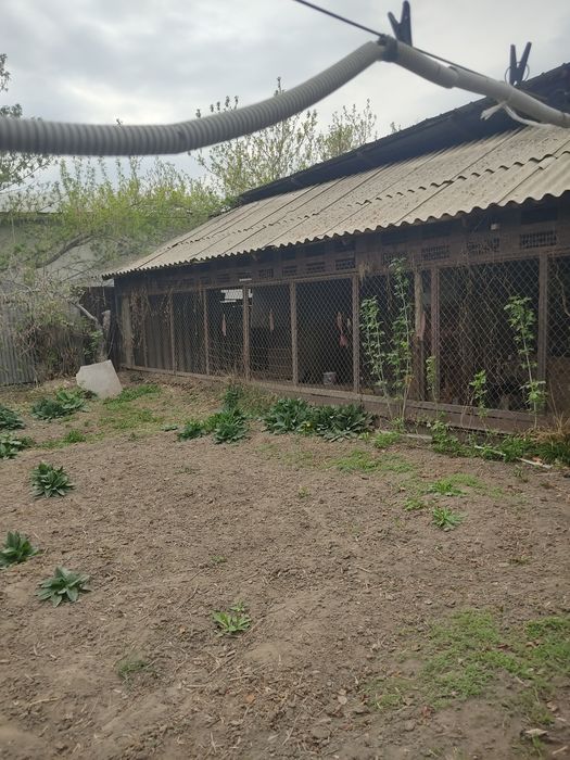 Дом в районе инкубатора