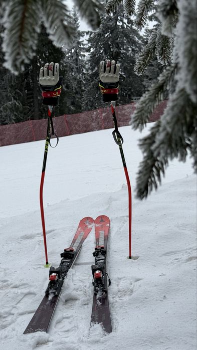 Atomic Redster S9-165см