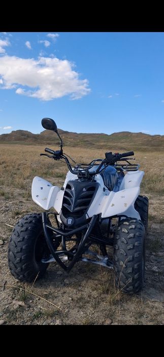 Atv 125cc bashan