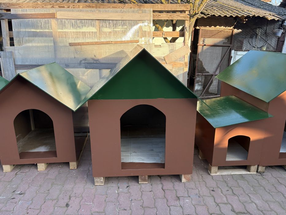 Cusca pentru caine talie Mare (uriasa)