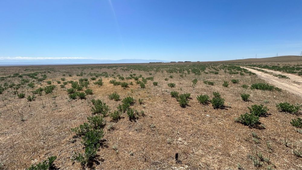 Продается участок 100 гектаров земли