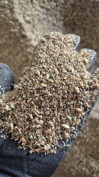 Продам зерноотходы