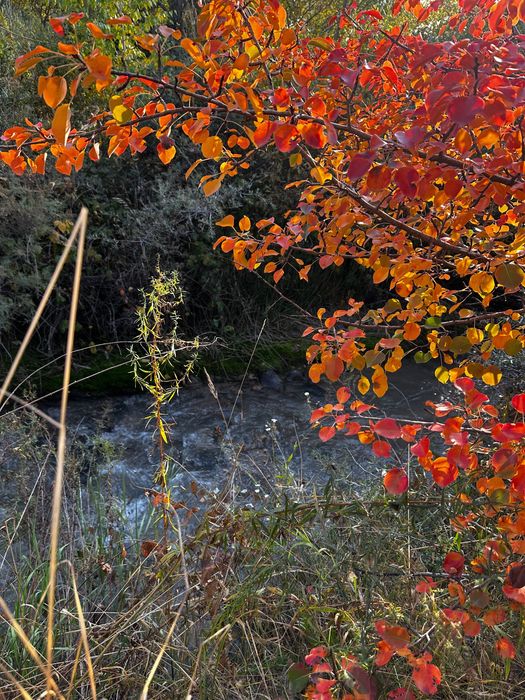 Продам земельный участок 10 соток