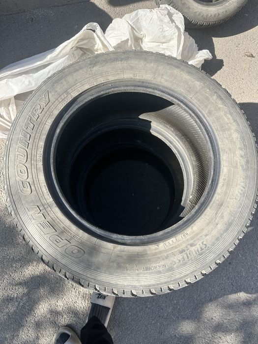 Резина шины