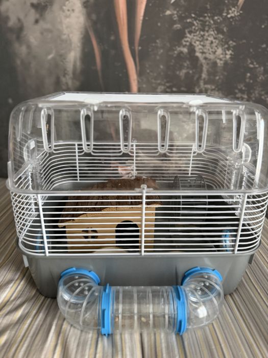 Cusca hamster + casuta + roata + boluri + mancare + talaj