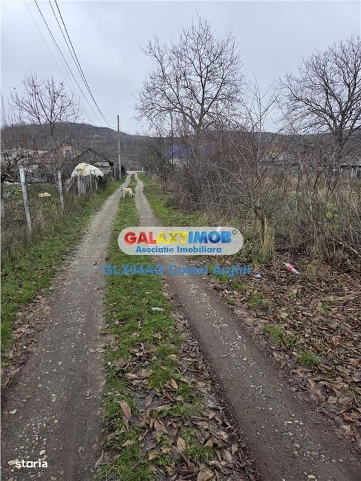 Vindem teren intravilan 1000 mp in Calinesti , dubla deschidere