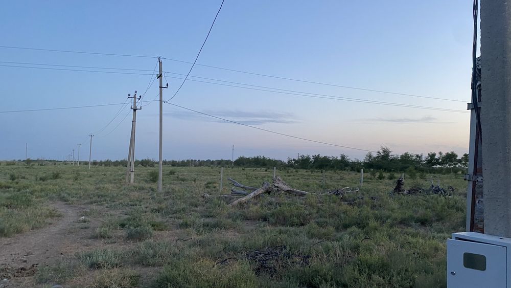 фазенда Түркістан қаласында