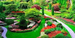 Садовник. Мевали дарахтларга шакл бериш. Газон сепиш. Ландшафт. Боғбон