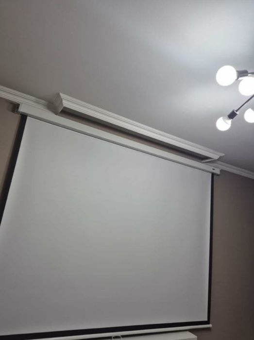 Проекционный экран Mr.Pixel MSPSBC100V2 254 см