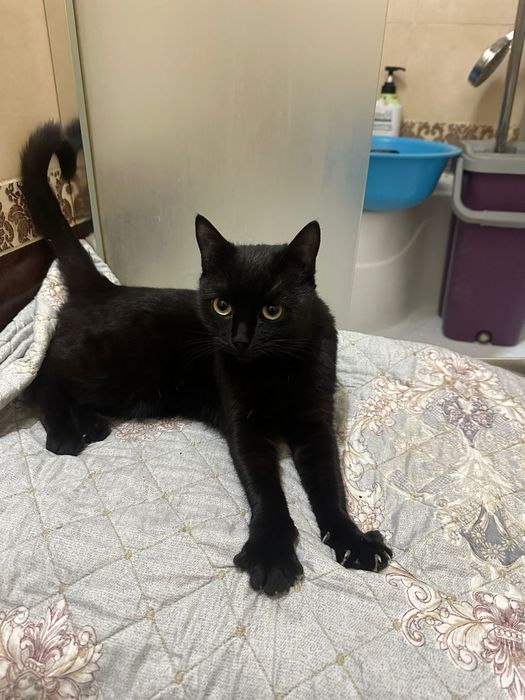 Девочка подросток