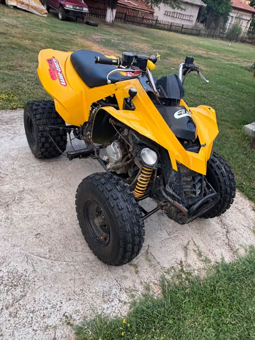 АТВ Can-am 250-DS