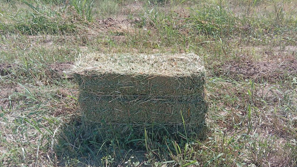 Жонышка пресс сатылады 2 ші орым