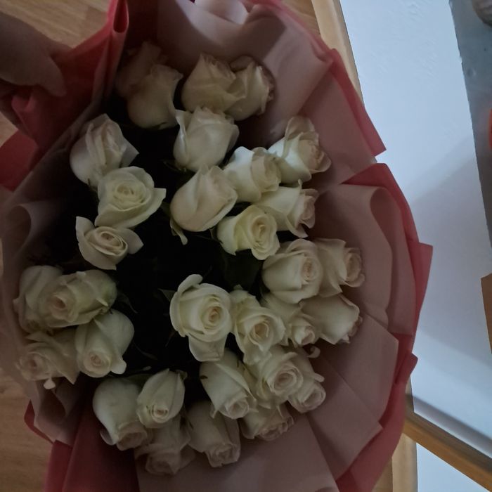 Роза  цветы цшгугуг