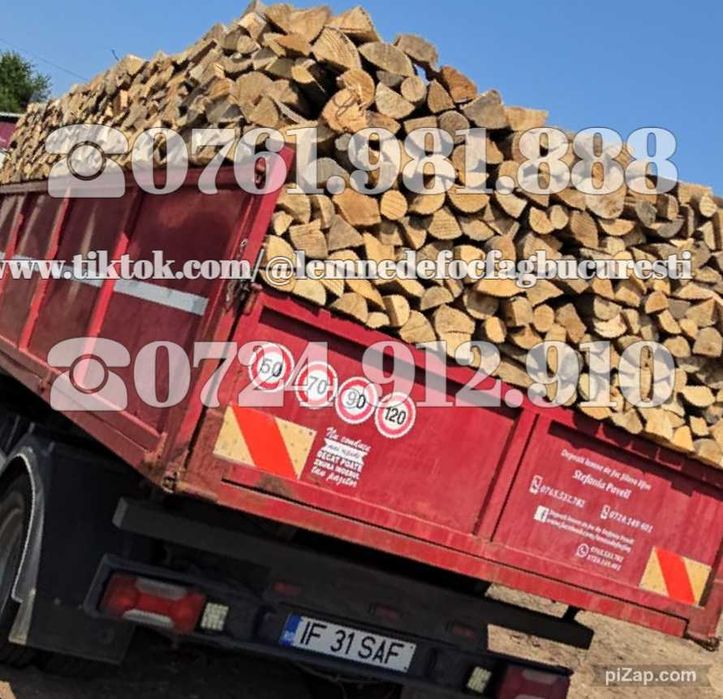 Lemne de foc fag la metru cub . Lemne de foc fag la metru ster .