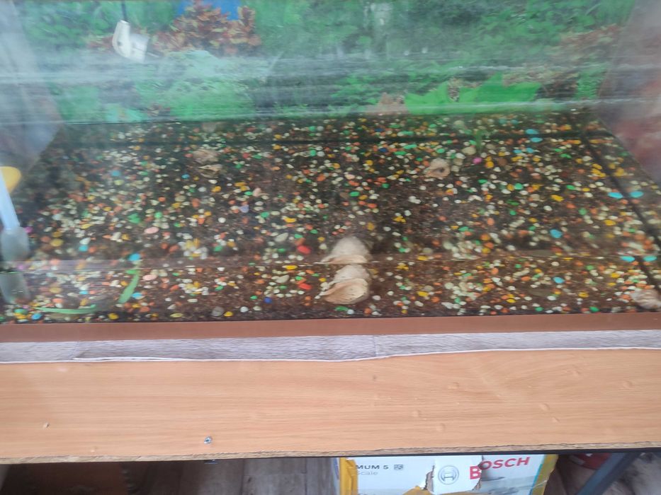 Продам аквариум 200 литров