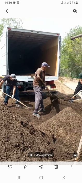 Биогомс сотилади