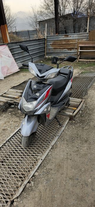 Мопед Ангел учётта тур