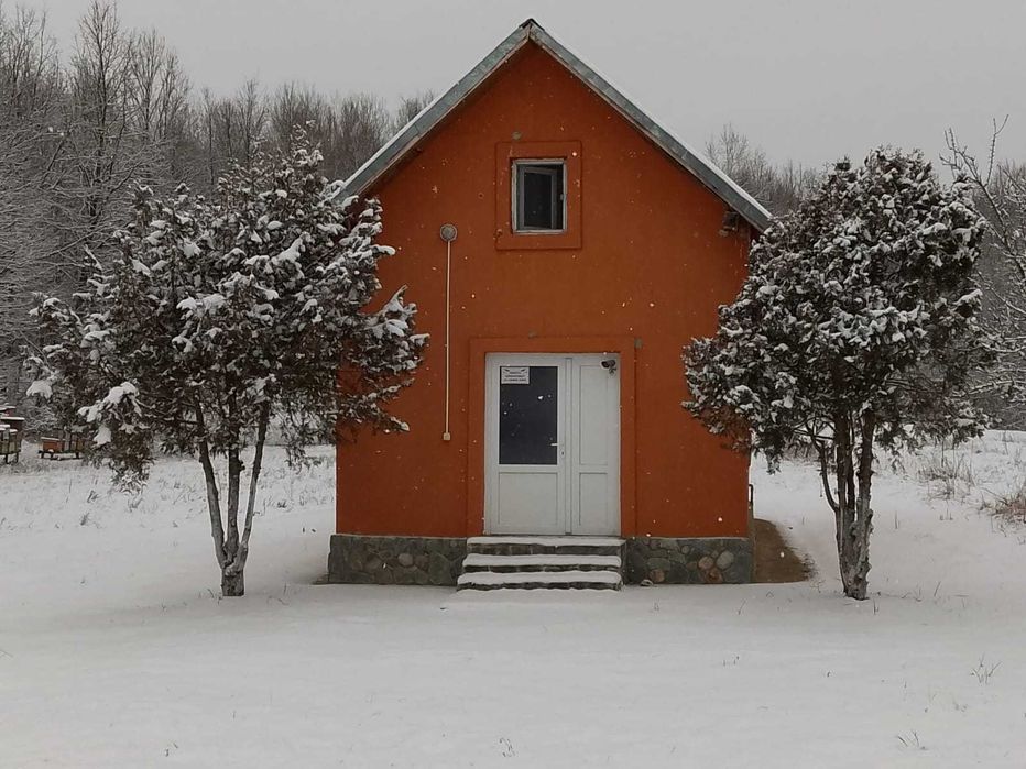 Casa de vacanta la padure