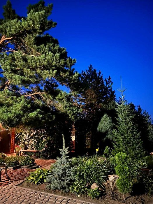 Продается дача в с/о Вагонник