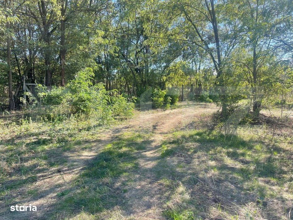 Teren Intravilan de vanzare, 900mp, Turcinesti